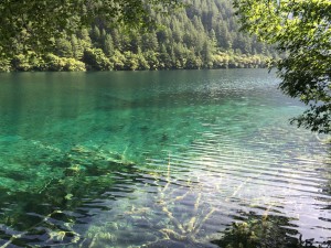 IMG_3350